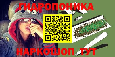apvp Кандалакша