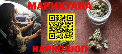 прущие грибы Канаш