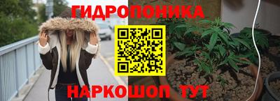 прущие грибы Канаш