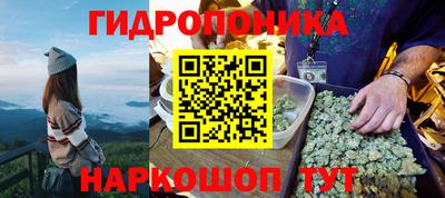 apvp Кандалакша