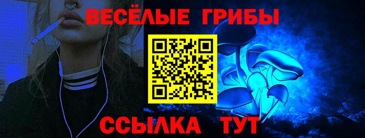 Галлюциногенные грибы Psilocybe Краснокаменск